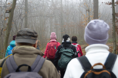 Rando 14-décembre-2025_Parc de Sceaux - Forêt de Verrière - Vallée de la Bièvre, DSC_0111