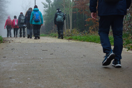 Rando 14-décembre-2025_Parc de Sceaux - Forêt de Verrière - Vallée de la Bièvre, DSC_0106