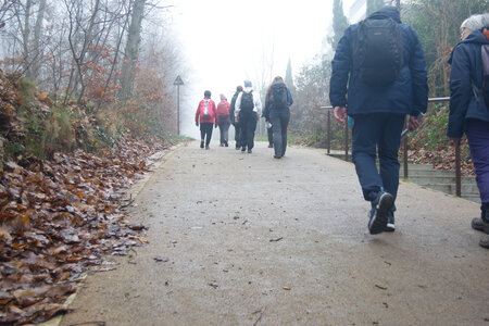 Rando 14-décembre-2025_Parc de Sceaux - Forêt de Verrière - Vallée de la Bièvre, DSC_0104