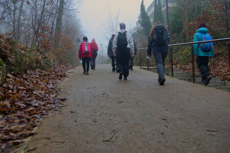 Rando 14-décembre-2025_Parc de Sceaux - Forêt de Verrière - Vallée de la Bièvre, DSC_0103