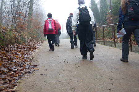 Rando 14-décembre-2025_Parc de Sceaux - Forêt de Verrière - Vallée de la Bièvre, DSC_0102