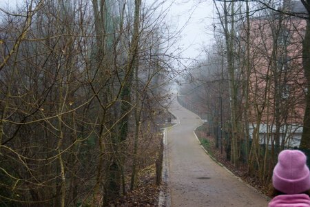 Rando 14-décembre-2025_Parc de Sceaux - Forêt de Verrière - Vallée de la Bièvre, DSC_0100