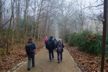 Rando 14-décembre-2025_Parc de Sceaux - Forêt de Verrière - Vallée de la Bièvre, DSC_0099