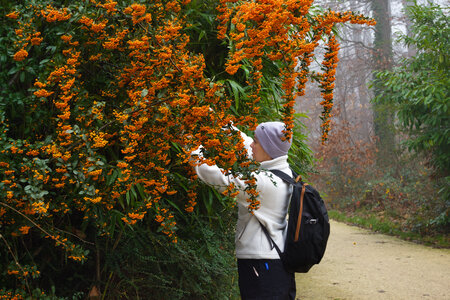 Rando 14-décembre-2025_Parc de Sceaux - Forêt de Verrière - Vallée de la Bièvre, DSC_0097