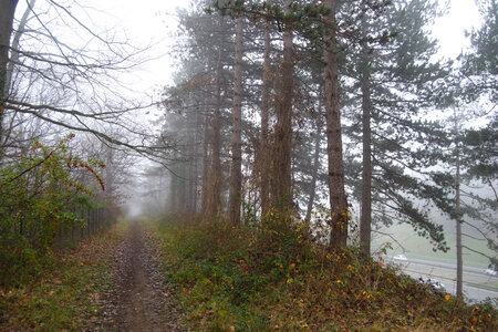 Rando 14-décembre-2025_Parc de Sceaux - Forêt de Verrière - Vallée de la Bièvre, DSC_0091