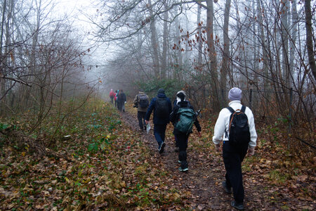 Rando 14-décembre-2025_Parc de Sceaux - Forêt de Verrière - Vallée de la Bièvre, DSC_0089
