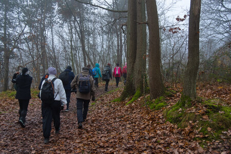 Rando 14-décembre-2025_Parc de Sceaux - Forêt de Verrière - Vallée de la Bièvre, DSC_0085