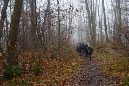 Rando 14-décembre-2025_Parc de Sceaux - Forêt de Verrière - Vallée de la Bièvre, DSC_0082