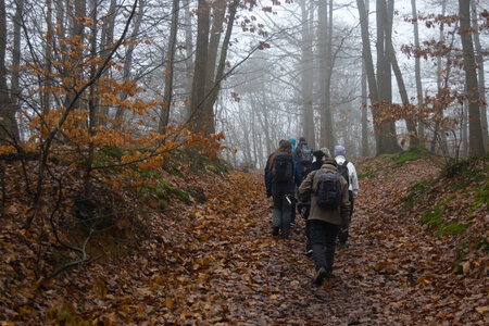 Rando 14-décembre-2025_Parc de Sceaux - Forêt de Verrière - Vallée de la Bièvre, DSC_0084