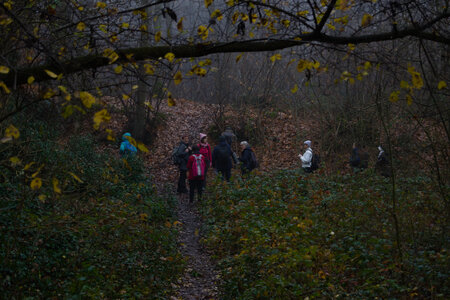 Rando 14-décembre-2025_Parc de Sceaux - Forêt de Verrière - Vallée de la Bièvre, DSC_0079