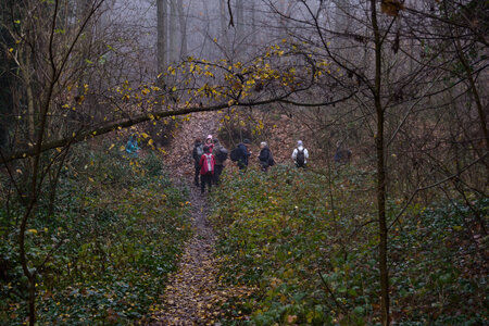 Rando 14-décembre-2025_Parc de Sceaux - Forêt de Verrière - Vallée de la Bièvre, DSC_0078