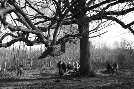 Rando 08-02-26 DE BOISSY-SAINT-LÉGER À SUCY-BONNEUIL : forêt de Gros-Bois, forêt de Notre-Dame, Parc de Morbras, Rando 08-02-26_21