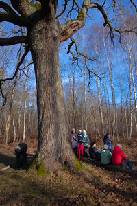 Rando 08-02-26 DE BOISSY-SAINT-LÉGER À SUCY-BONNEUIL : forêt de Gros-Bois, forêt de Notre-Dame, Parc de Morbras, Rando 08-02-26_13