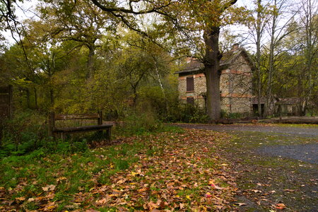  Rando du 26-10 Forêts d'Armainvilliers et de Ferrière en Brie, étang de la planchette, Favières, Tournan en Brie, DSC_0112