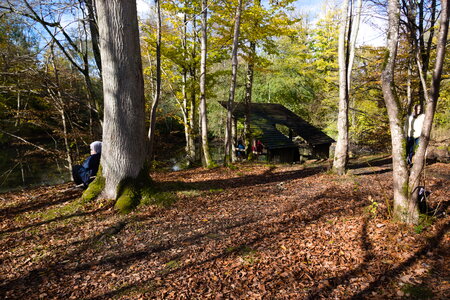  Rando du 26-10 Forêts d'Armainvilliers et de Ferrière en Brie, étang de la planchette, Favières, Tournan en Brie, DSC_0124