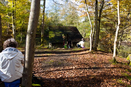  Rando du 26-10 Forêts d'Armainvilliers et de Ferrière en Brie, étang de la planchette, Favières, Tournan en Brie, DSC_0129