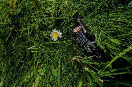 les aventures d'Eduardo, _DSC7047_m
