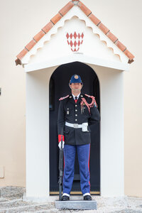 Carabiniers Relève de la garde du 4 mai 2026 (changement de couleur), rel&egrave;ve4mai26  6 sur 65 