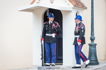 Carabiniers Relève de la garde du 4 mai 2026 (changement de couleur), rel&egrave;ve4mai26  8 sur 65 