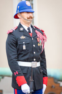 Carabiniers Relève de la garde du 4 mai 2026 (changement de couleur), rel&egrave;ve4mai26  24 sur 65 