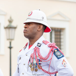 Carabiniers Relève de la garde du 4 mai 2026 (changement de couleur), rel&egrave;ve4mai26  42 sur 65 