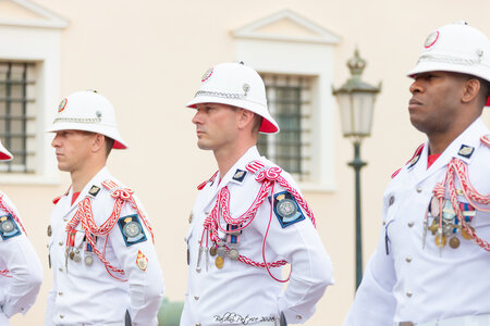 Carabiniers Relève de la garde du 4 mai 2026 (changement de couleur), rel&egrave;ve4mai26  44 sur 65 