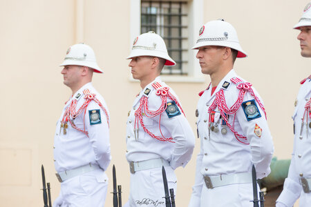 Carabiniers Relève de la garde du 4 mai 2026 (changement de couleur), rel&egrave;ve4mai26  46 sur 65 