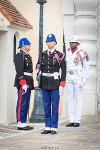 Carabiniers Relève de la garde du 4 mai 2026 (changement de couleur), rel&egrave;ve4mai26  49 sur 65 