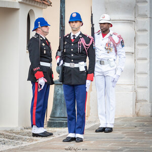 Carabiniers Relève de la garde du 4 mai 2026 (changement de couleur), rel&egrave;ve4mai26  50 sur 65 