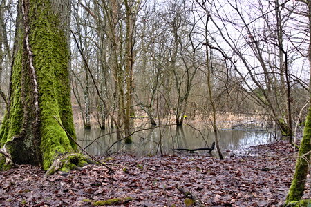 Rando 22-02-26 Rambouillet, DSC_0006