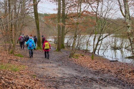 Rando 22-02-26 Rambouillet, DSC_0007