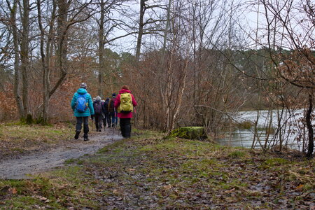 Rando 22-02-26 Rambouillet, DSC_0008