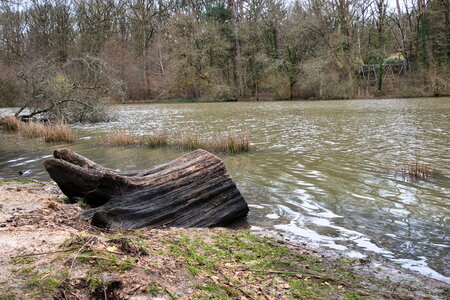 Rando 22-02-26 Rambouillet, DSC_0014
