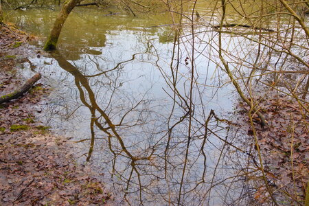 Rando 22-02-26 Rambouillet, DSC_0015
