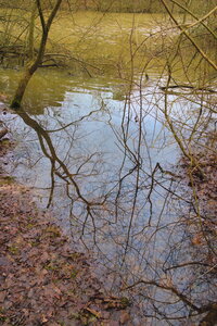 Rando 22-02-26 Rambouillet, DSC_0016