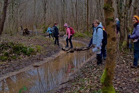 Rando 22-02-26 Rambouillet, DSC_0021