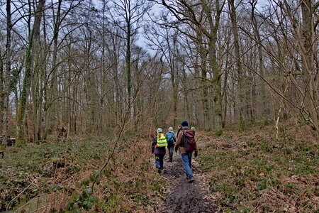 Rando 22-02-26 Rambouillet, DSC_0023