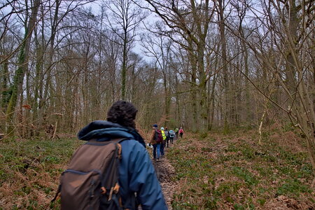 Rando 22-02-26 Rambouillet, DSC_0024