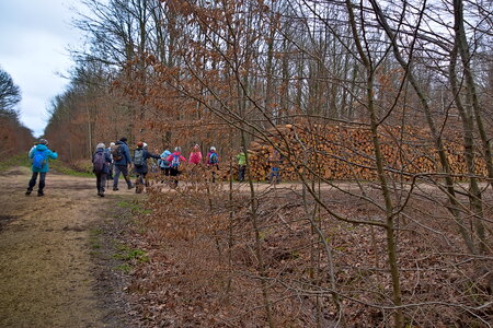 Rando 22-02-26 Rambouillet, DSC_0029