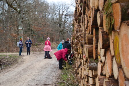 Rando 22-02-26 Rambouillet, DSC_0030