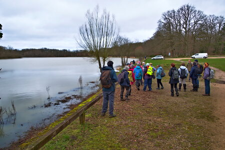 Rando 22-02-26 Rambouillet, DSC_0037