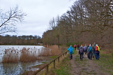 Rando 22-02-26 Rambouillet, DSC_0039