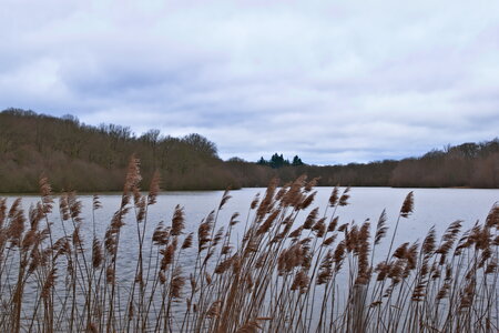 Rando 22-02-26 Rambouillet, DSC_0042