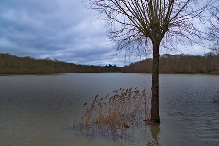 Rando 22-02-26 Rambouillet, DSC_0043