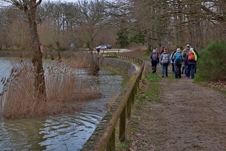 Rando 22-02-26 Rambouillet, DSC_0044