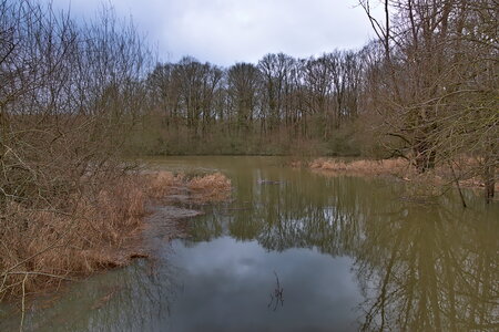 Rando 22-02-26 Rambouillet, DSC_0045