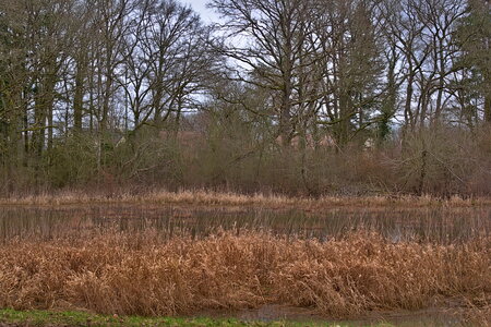 Rando 22-02-26 Rambouillet, DSC_0046
