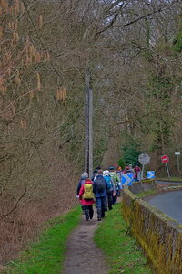 Rando 22-02-26 Rambouillet, DSC_0049