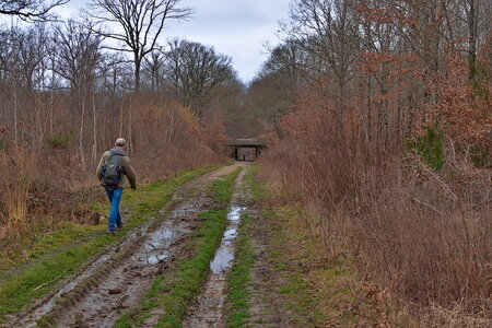 Rando 22-02-26 Rambouillet, DSC_0057