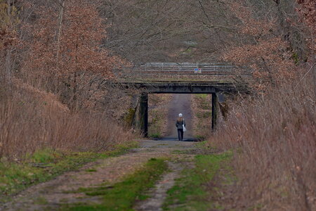 Rando 22-02-26 Rambouillet, DSC_0058